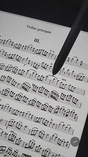 3rd movement of Vivaldi Springs from The Four Seasons - Opening . . #music #classicmusic #classicalmusic #musician #instrument #violin #vivaldi