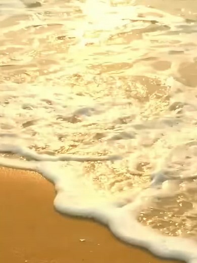 かわいい犬の失敗集