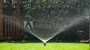 Grass Irrigation. Garden Irrigation Sprinkler Watering a Lawn. Drops of Water Glisten Shine in the Rays of the Bright Sun. Irrigation Garden Sprinkler System