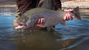 6.1K views · 177 reactions | We recently completed our spring...