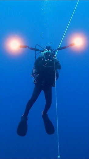 4.7K views · 85 reactions | Mystic Aquarium's Dr. Peter Auster and a team of scientists take ocean research and conservation to the next level as they explore the first and only marine national monument off the continental U.S. | Mystic Aquarium | Facebook