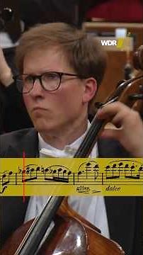 Let the sound of the #cello embrace you 🤗 #classicalmusic