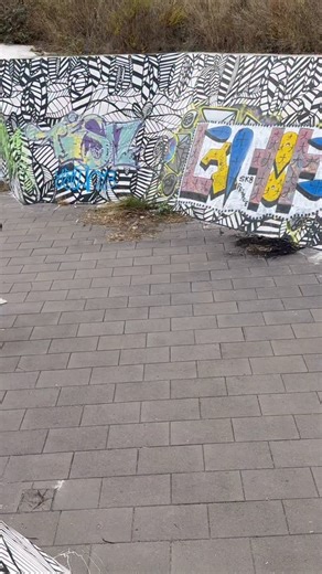 9.4K views · 48 reactions | One of my favourite battles from the Portugal street video. Now Live on the long form platform and on my story  | Dan Webz | Facebook