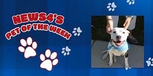 Pet of the Week: Jolly Jessie