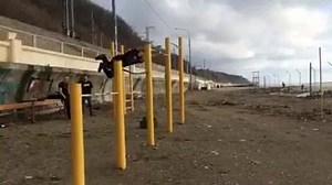 Just got done hitting 5 pull ups and this guy does this... Vid of @LivingEarth (instagram) Smash your goals with my transformation program! www.BCutFit.com/programs | Brendan Meyers