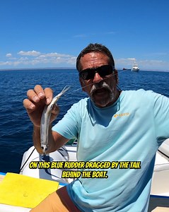 7.4K views · 252 reactions | How to Troll with the Blue Runner! #fishing #trollingfishing #howto | Your Saltwater Guide | Facebook