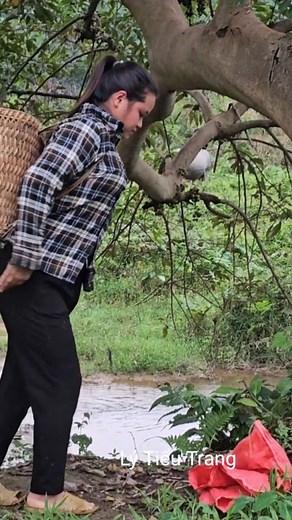 53K views · 1.8K reactions | Homeless girl prays for the best for the poor old lady. #lifesingle #singlemother #lytieuca | Monkey SoK Ya | Facebook