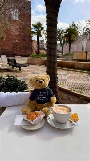 Morty on The Move! Adventures of The Warcombe travelling Ted!! | Warcombe Farm Camping Park