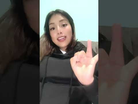 ¿Qué es el diseño curricular?