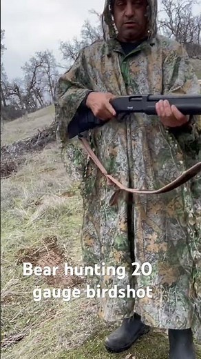 shotgun vs bear . ayi avi tufek silah tabanca pistola bear hunting.