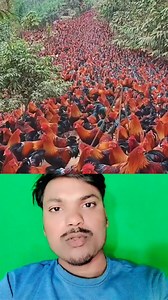 #sunilprasad #reelsfypシ #virals #trendingreels #fypシ #fbyシvideo #facebookreel #instareels #viralvideoシ #trend #instagram #trendingnow | sunilprasad