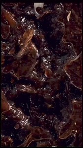 Watch how a tree 🌳 grows its roots | Abstractrares