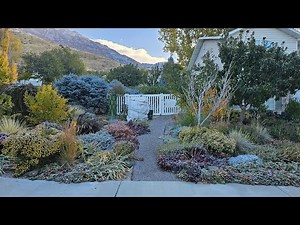 How to Clean Up Your Landscape in The Fall in Zone 7