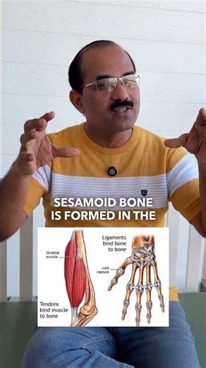 Largest sesamoid bone + tendon facts = viva saver! 🔥🦵