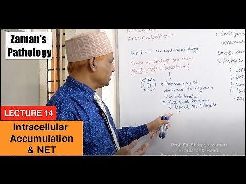General Pathology: Lecture 14 | Intracellular Accumulation & NET