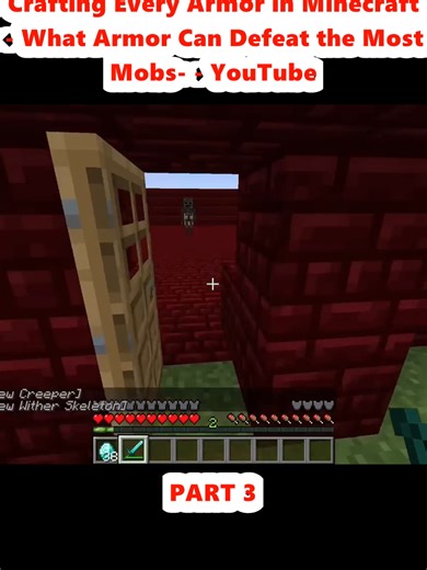 Crafting Every Armor in Minecraft - What Armor Can Defeat the Most Mobs- - YouTube (3)