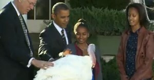Mr. Obama, ‘don’t pardon a turkey': Has PETA given up?