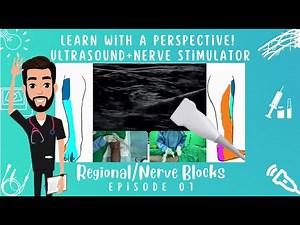 POPLITEAL SCIATIC NERVE BLOCK: Dermatomes,Landmarks,Ultrasound & Nerve Stimulator Technique
