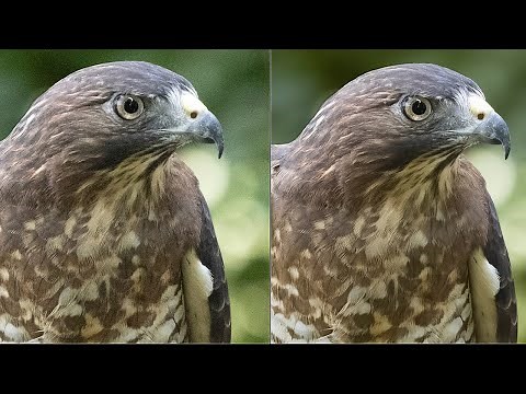 In-depth Lightroom Classic workflow for the DeNoise AI RAW model