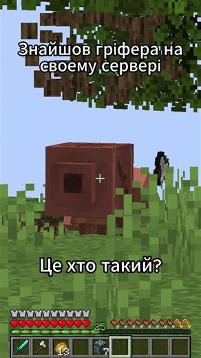 Виявив токсичного гріфера на своєму сервері!