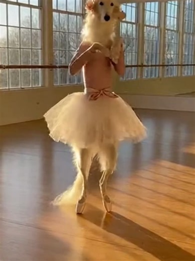 Elegant Borzoi Girl Dancing Ballet Gracefully