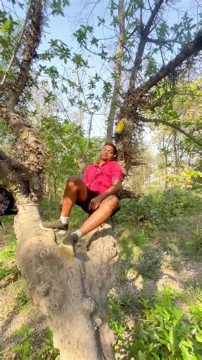 Tree Challenge #shorts