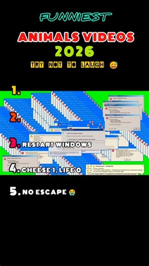 😂 Funniest Animal Fails! Try Not To Laugh Challenge 🤣