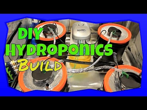 DIY Hydroponic Setup | RDWC Bucket System Build
