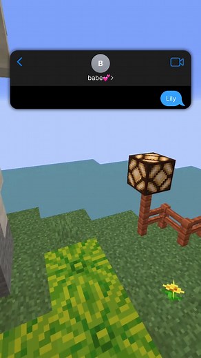 Shes a man bro. #Texts #texting #textstory #fyp #viral #rizz #rizzapp #reddit #redditstories #minecraft #minecraftparkour