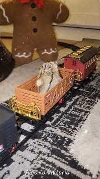 Cute Hamster Riding the Christmas Train 🎄Hamster videos| Christmas Polar Express| My Pet Hamster