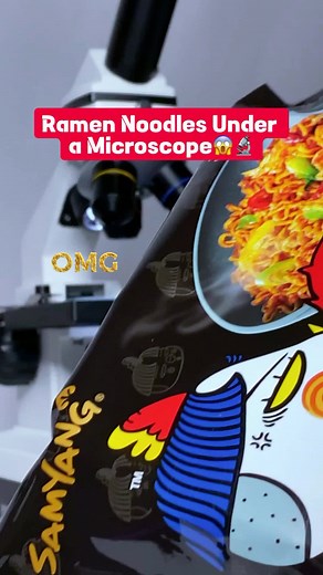 Ramen Noodles Under a Microscope: A Closer Look