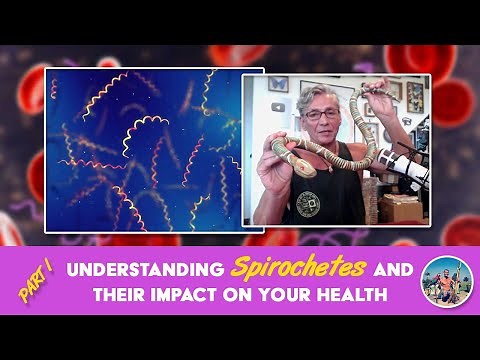 Understanding Spirochetes And Their Impact On Your Health Part 1 | Dr. Robert Cassar