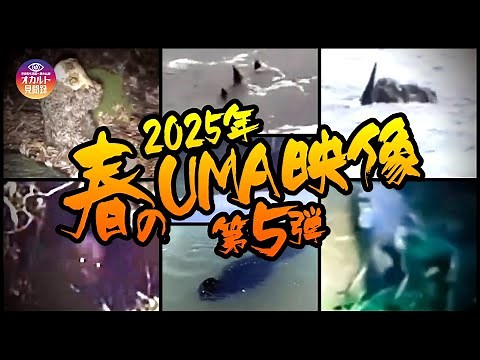 【映像】2025年 春のUMA映像 第5弾