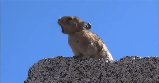 7.9M views · 277K reactions | When you know you know. Gather here we sing loudly! | Implementors Team | Facebook