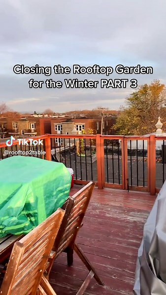 Winterizing Your Rooftop Garden: Essential Tips for Wintertime Care