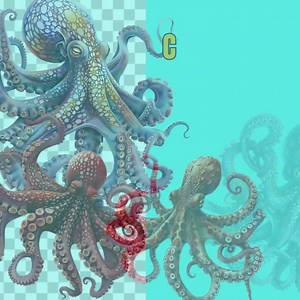 Octopus Clipart Rainbow Octopus Watercolor PNG Bundle PNG Graphics Transparent Commercial Use Digital Download Sublimation Journal Wall Art - Etsy