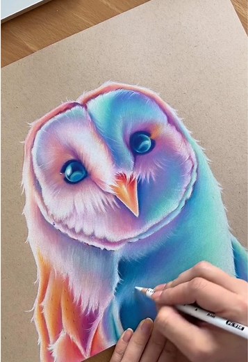 How to Draw a Colorful Barn Owl Easily