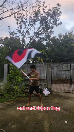 Enhancing Color Guard Performances with Flags