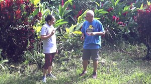 Tafaoga ~ "Experience our Beautiful Samoa" Episode 09. Join the final episode of our Tafaoga series in Savai'i presented by Nive and Seti. We start our tour at the Mataolealelo Pool where Seti tells us about Sina and the eel legend and later about the myth of Dwarf's Cave, a 1km long lava tube cave in the village of Paia. From there, we'll visit the Saleaula lava fields and later will take you for a canoe ride at the crystal clear fresh waters of Asaga reserve. We finish our tour in Savai'i by v