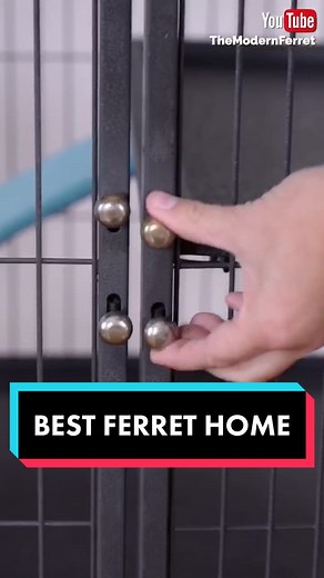 YES! BEST FERRET Cage vs WORST. YouTube link in Bio. #review #myrecommendation #ferret