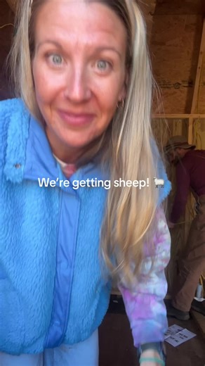 Getting Sheep: Preparing for Baby Lambs in the Barn