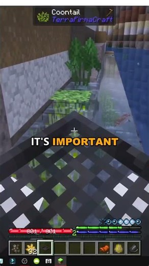 HOW TO MAKE COMPOST and plant RYE in MINECRAFT TERRAFIRMACRAFT
