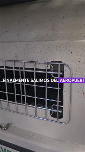 2.9K views · 38 reactions | NO VUELES CON AEROMÉXICO SI VIAJAS CON ANIMALES; ESTO LE PASÓ A SU MASCOTA #Aeroméxico #Mapple #Maple #aeropuerto #mexico #miami | La Nota de Tepic | Facebook