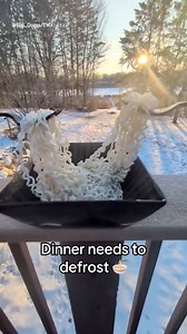 How cold is it?