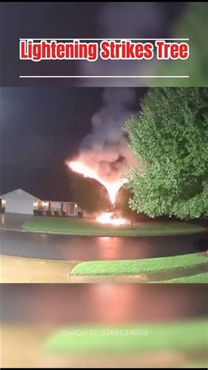 What happens when lightening strikes a tree
