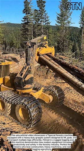 Powerful Tigercat Log Skidder in Action – Extreme Forestry Productivity!