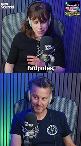 5.5K views · 36 reactions | Frogs with cyborg brains…are humans next?...