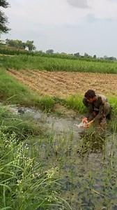 #Challenge #viralphotochallenge #viralreelschallenge #viralvideochallenge #ChallengeAccepted #viralmemes | Shah reels 2