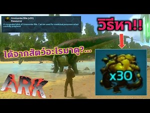#ARK วิธีหา Ammonite Bile มาทำลูกดอก (ลูกดอกตัวนี้ใช้ทำอะไรใครรู้บ้าง)