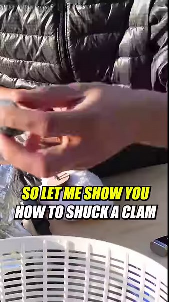 Fresh seafood showdown! Oysters or clams? 🦪🍚 #seafoodlover #oysterchallenge | Outdoor Chef Life